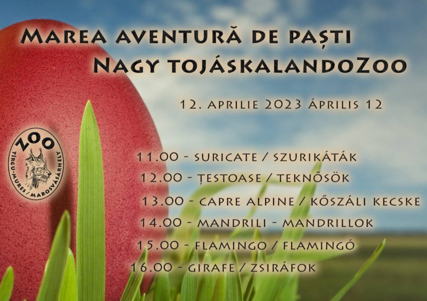 „Marea Aventură Zoo de Paşte”, mâine, la Târgu Mureș
