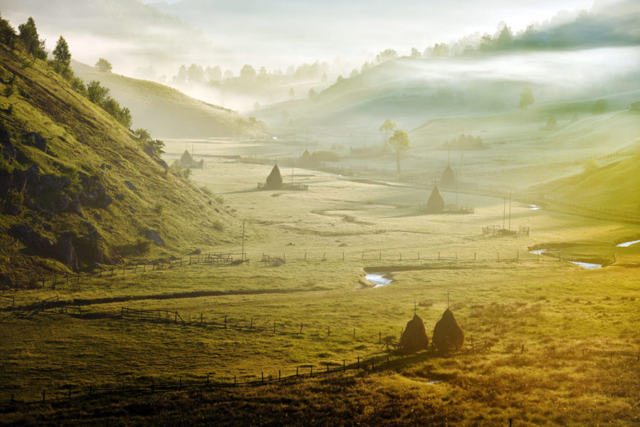 Țara Hațegului, a Dornelor și Ținutul Zimbrilor sunt destinațiile ecoturistice ale anului la categoria comori naturale Țara Hațegului, a Dornelor și Ținutul Zimbrilor sunt destinațiile ecoturistice ale anului la categoria comori naturale