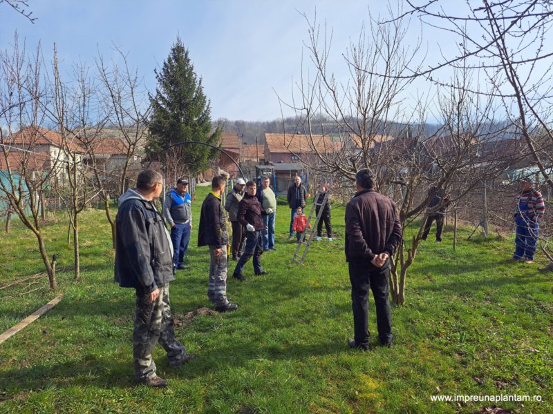„Plantăm dezvoltare și armonie în Valea Viilor”
