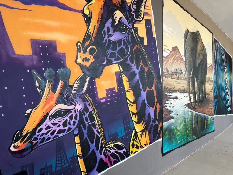 Graffiti la Zoo Tg.Mureș, de 1 Mai