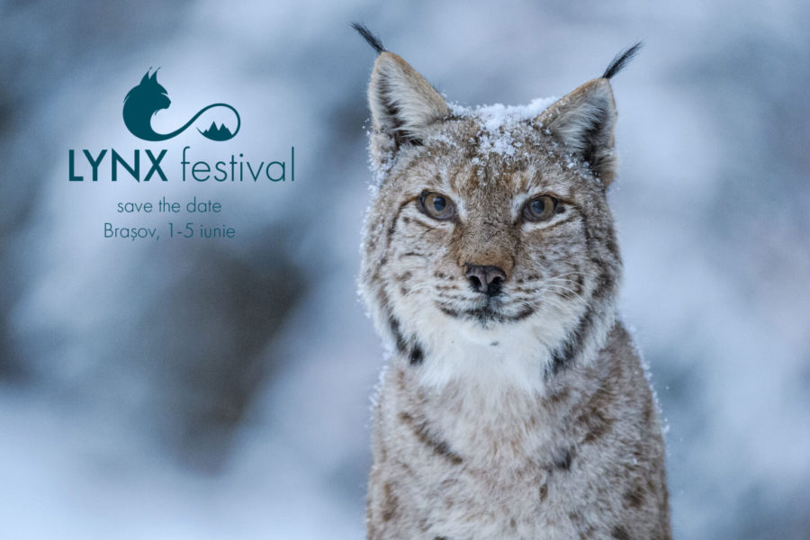 Brașovul va găzdui primul festival din România dedicat exclusiv filmului documentar şi fotografiei de natură