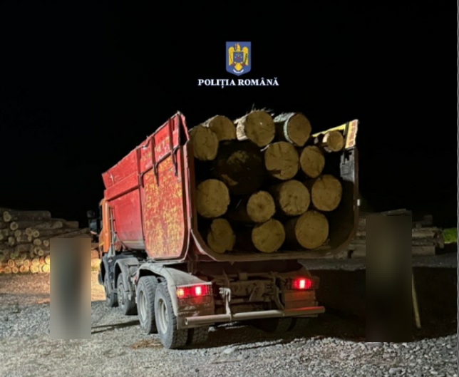 Bărbat din Mureș cercetat pentru transport ilegal de material lemnos Bărbat din Mureș cercetat pentru transport ilegal de material lemnos