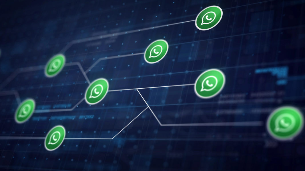 Info Gadget – WhatsApp vine cu o nouă modificare în folosul utilizatorilor