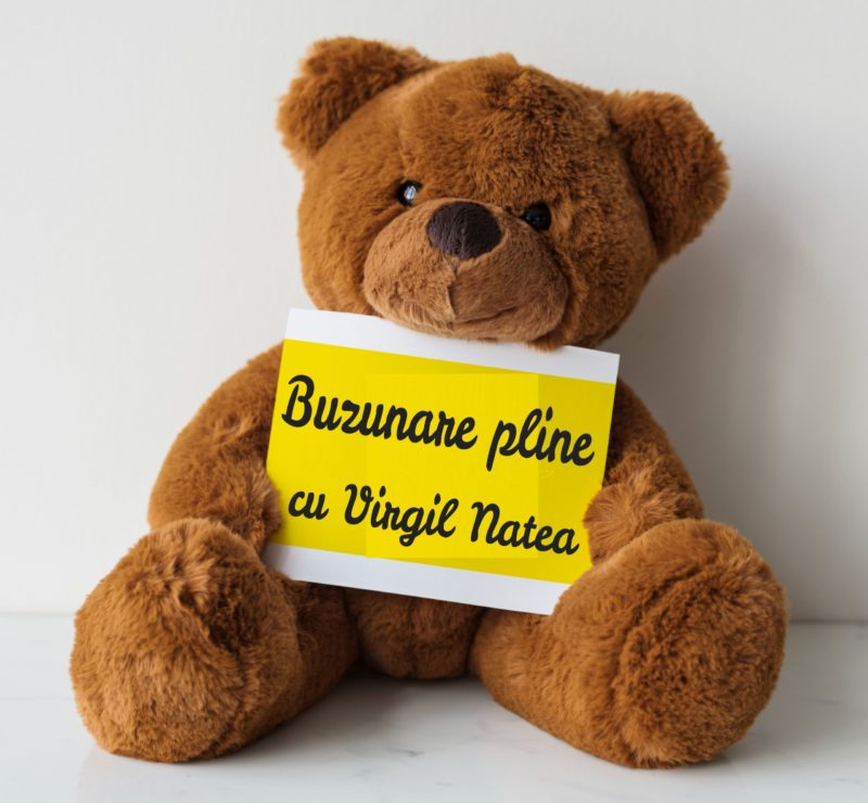 Afacerile cu jucării continuă să crească la un nivel nemaiîntâlnit Afacerile cu jucării continuă să crească la un nivel nemaiîntâlnit
