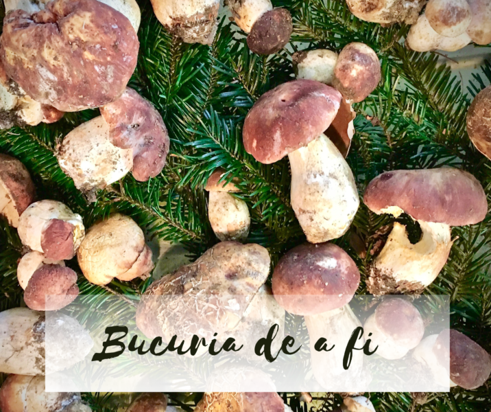 Bucuria de a fi | Bucate din hribi