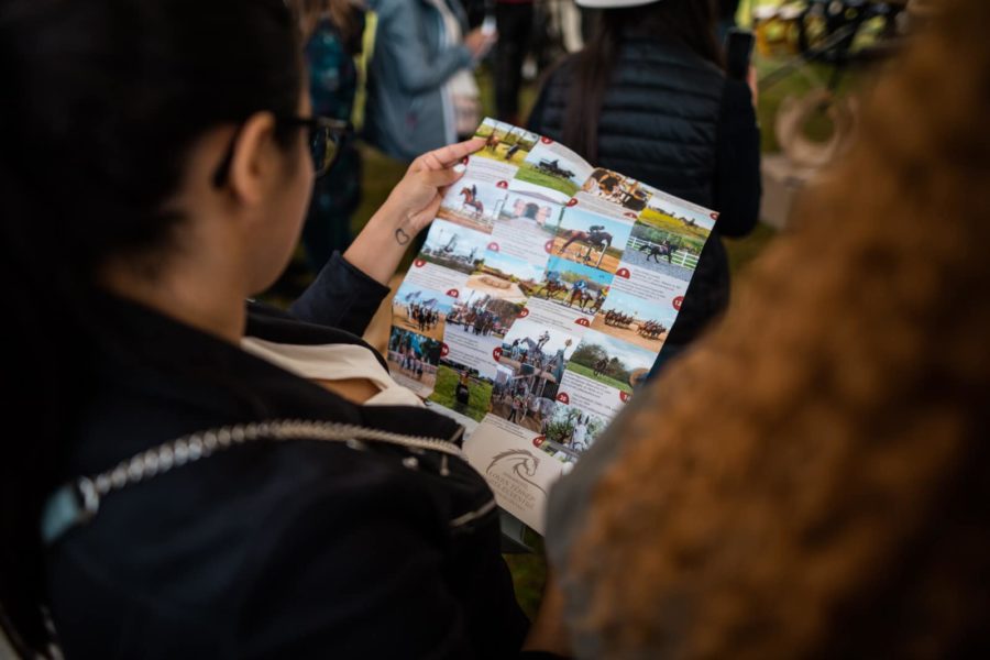 Harta ecvestră a judeţului Covasna va fi disponibilă şi pe internet