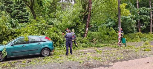 Furtuna din această dimineața din județul Mureș a rupt și smuls arbori Furtuna din această dimineața din județul Mureș a rupt și smuls arbori