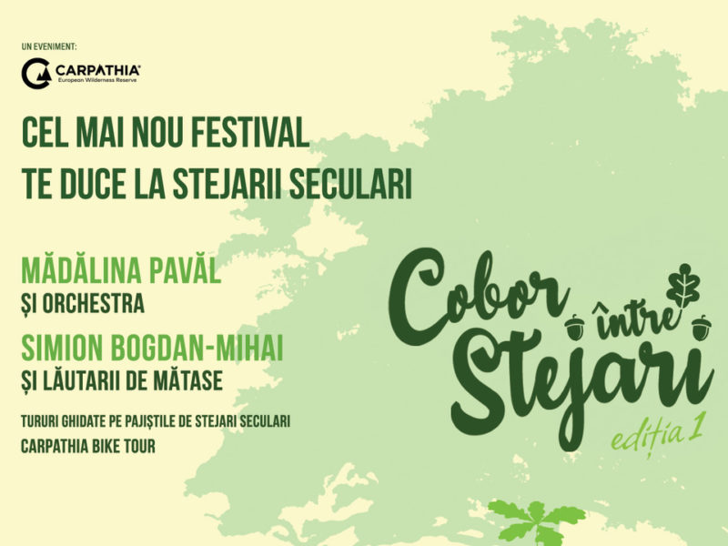 Festival inedit, în mijlocul stejarilor seculari, în localitatea brașoveană Cobor