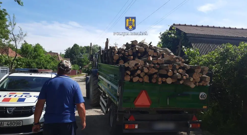3 mureșeni au fost reținuți pentru tăiere ilegală de arbori