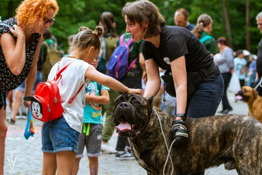Pet Blitz | Câinii și copiii pot conviețui fericiți