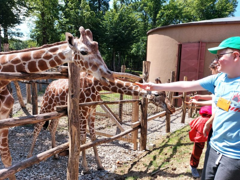 Un sfert de million de vizitatori au trecut pragul Zoo Tg. Mureș, anul acesta