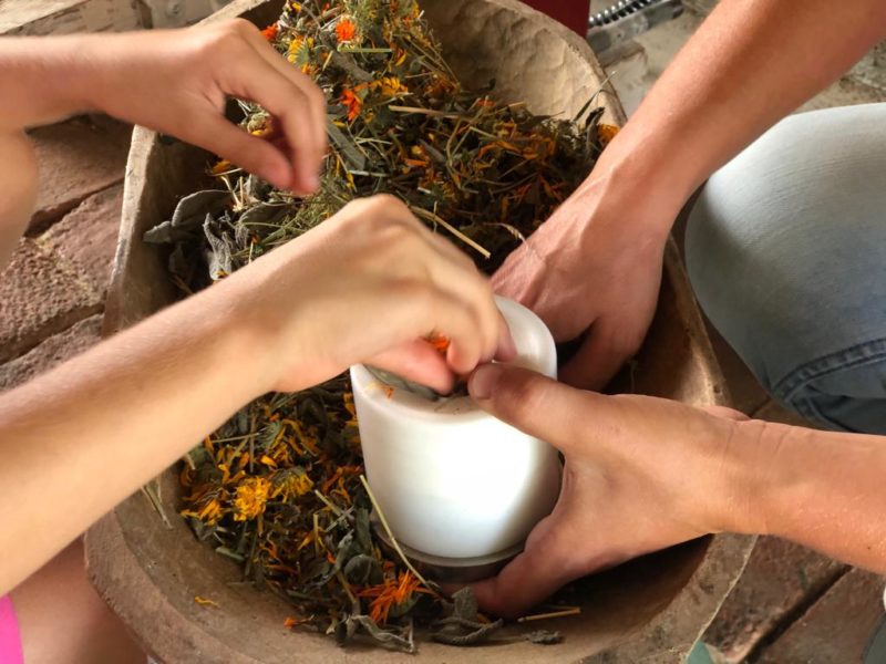 Bucuria de a fi | Fitoterapia
