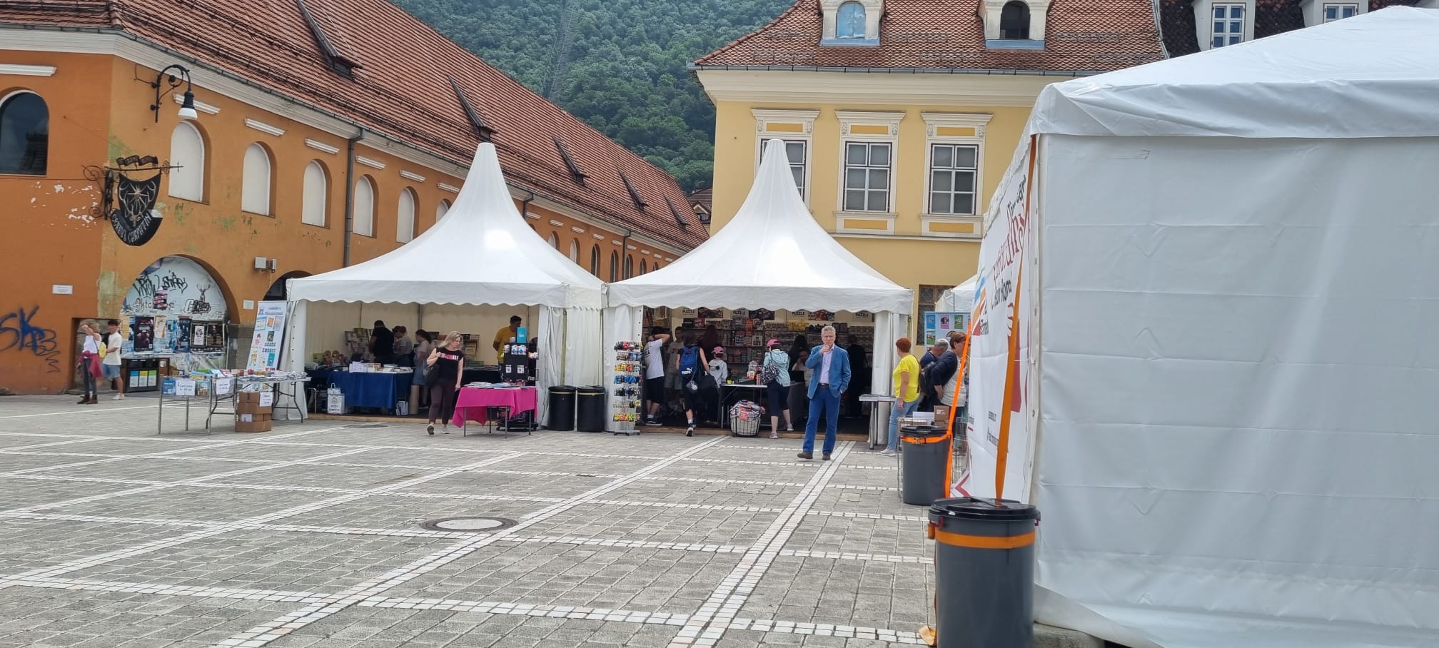 Colecție de viniluri la Tîrgul Gaudeamus Radio România de la Brașov