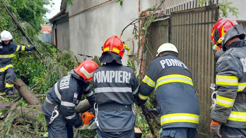 Mai mulți copaci au fost doborâți de vântul puternic, în județul Mureș Mai mulți copaci au fost doborâți de vântul puternic, în județul Mureș