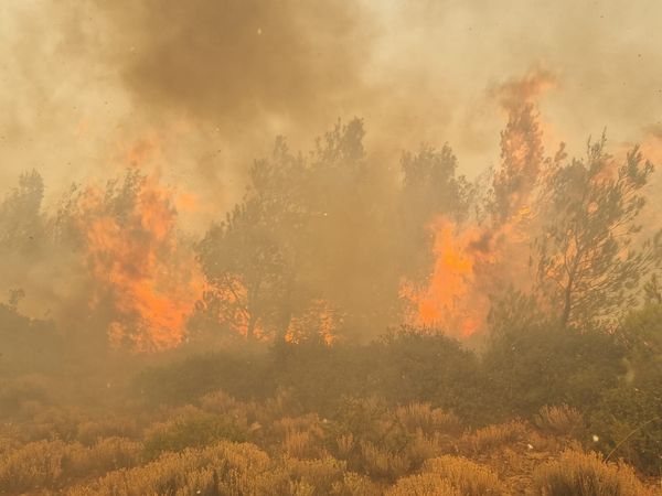 Incendiul de vegetaţie din insula Rodos pare scăpat de sub control