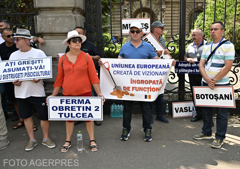 Zeci de fermieri au protestat în faţa Ministerului Agriculturii, nemulțumiți de situația din acvacultură