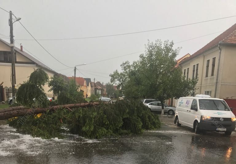 Vreme extremă în Bistriţa: pod prăbușit, barcă răsturnată, copaci doborâţi peste maşini şi acoperişuri smulse de vânt