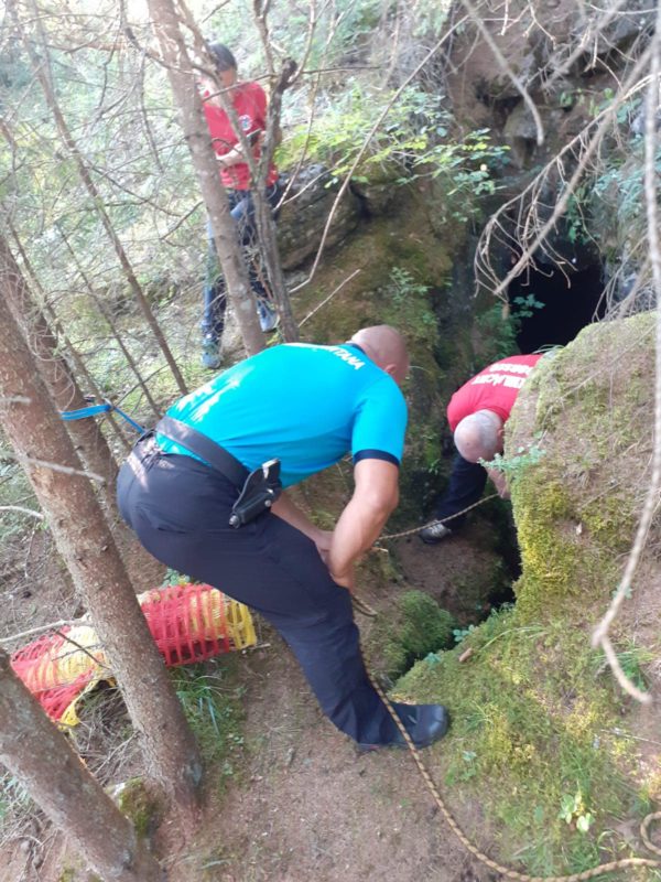 Pui de căprioară rămas blocat în Grota Urşilor din Borsec – eliberat de jandarmi şi salvamontişti