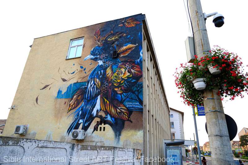 Pictura murală pe un bloc din Sibiu, una dintre cele mai apreciate din lume