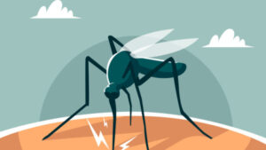 ghid medical 02.09.2023 infectie virus west nile