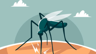 ghid medical 02.09.2023 infectie virus west nile