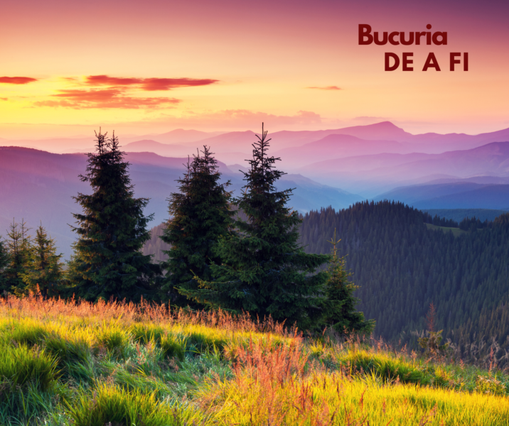 Bucuria de a fi | Bogății din Bilbor
