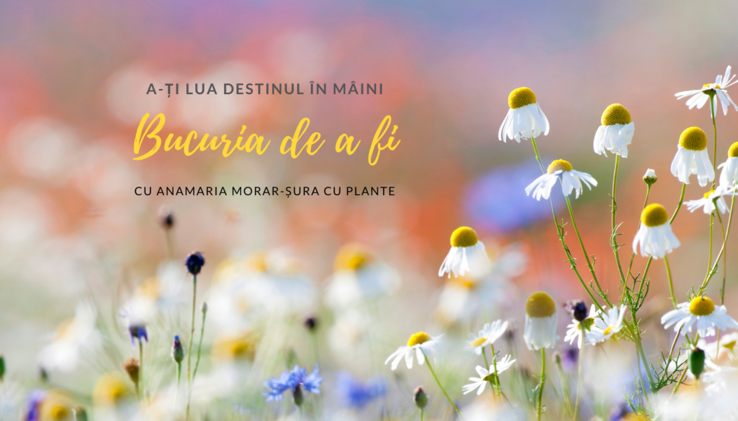 Bucuria de a fi | A-ți lua destinul în mâini