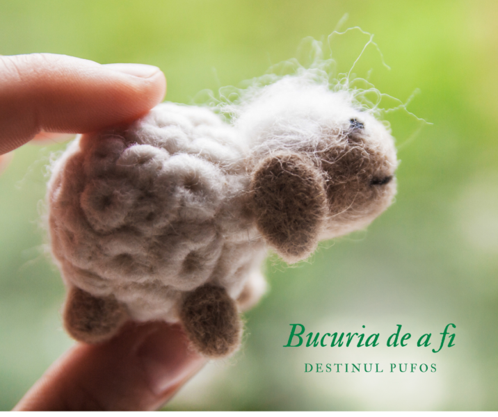Bucuria de a fi | Împâslirea lânii