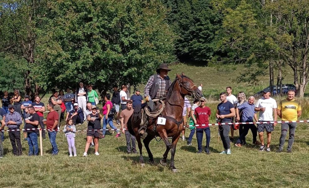 Caii s-au întrecut în putere la Festivalul ecvestru de la Câmpu Cetății
