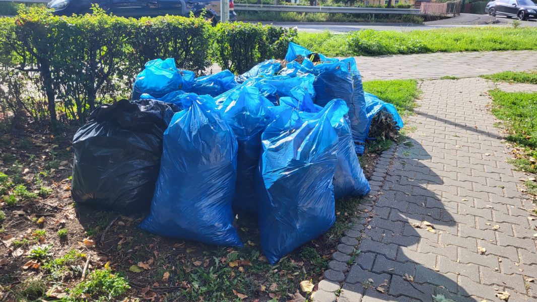 Mureşenii se mobilizează pentru Ziua Naţională de Curăţenie