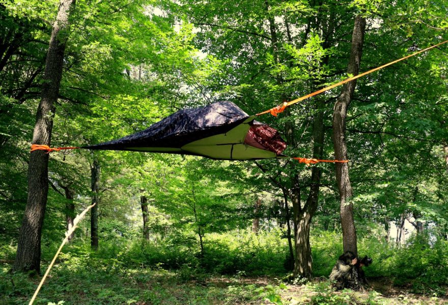 Manuale „Sunt Natură” pentru „Săptămâna Verde” sau „Şcoala Altfel”