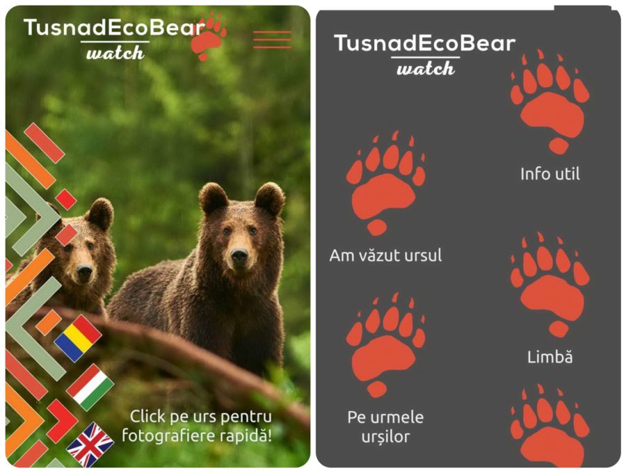 Info Gadget, cu Raluca Creț – Informații despre prezența urșilor cu aplicaţia „Bear Watch”