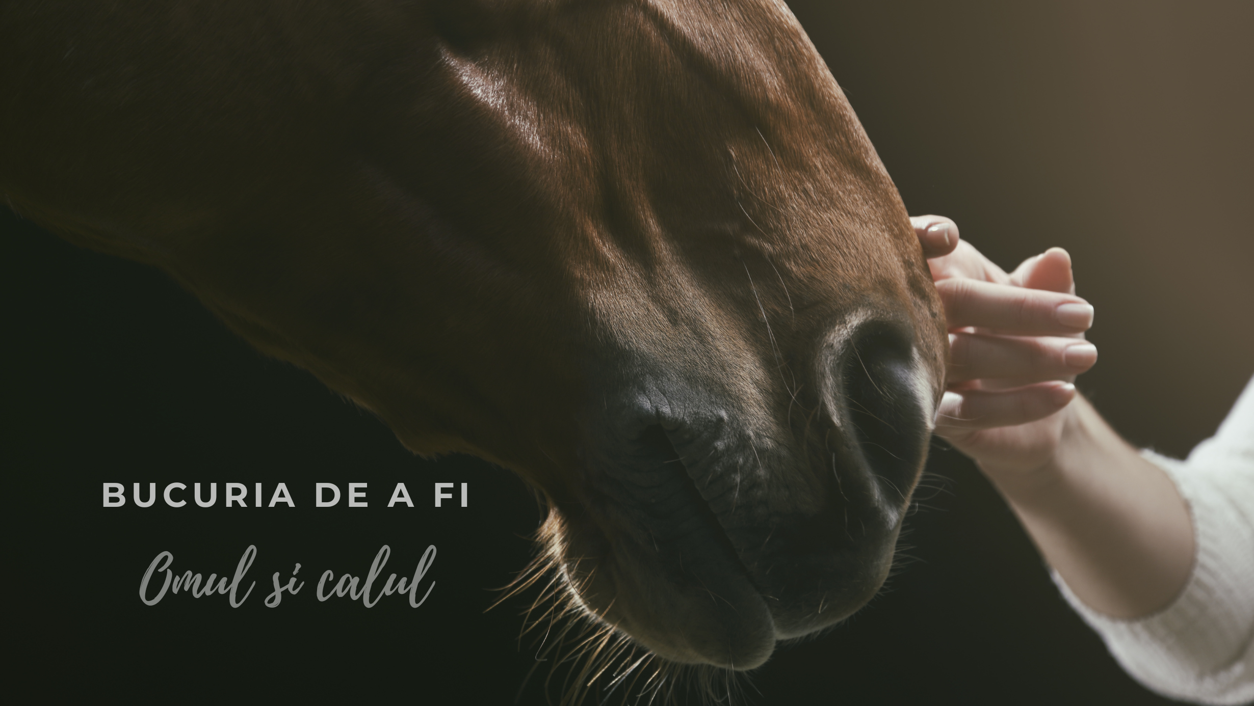 Bucuria de a fi | Omul și calul