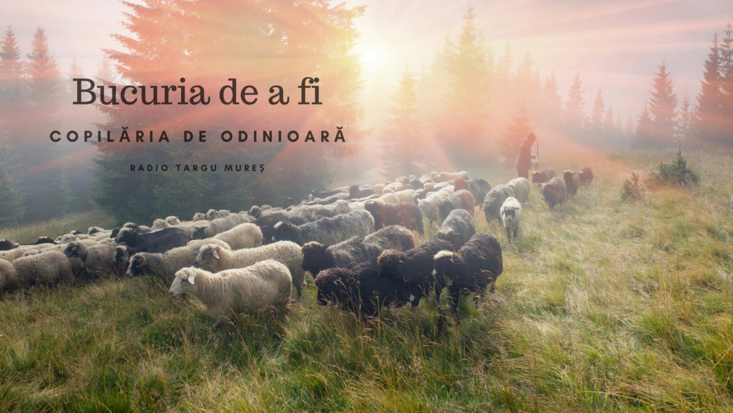 Bucuria de a fi | Copilăria de odinioară