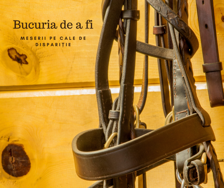 Bucuria de a fi | Meserii pe cale de dispariție
