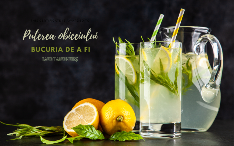 Bucuria de a fi | Puterea obiceiului