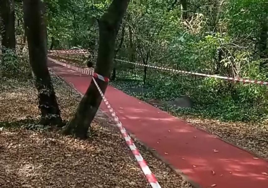 Pista de alergare de la Platoul Cornești a fost devastată