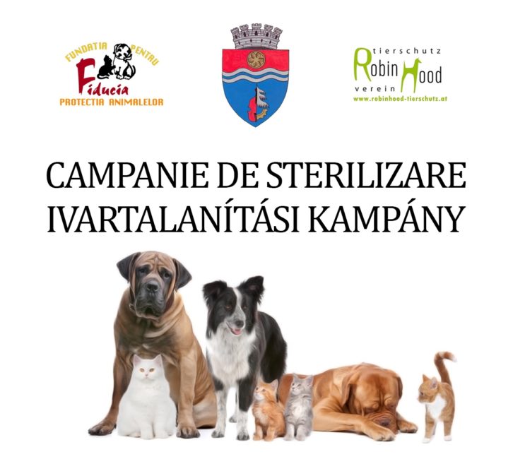 Campanii de sterilizare a animalelor la Reghin şi Sighişoara Campanii de sterilizare a animalelor la Reghin şi Sighişoara