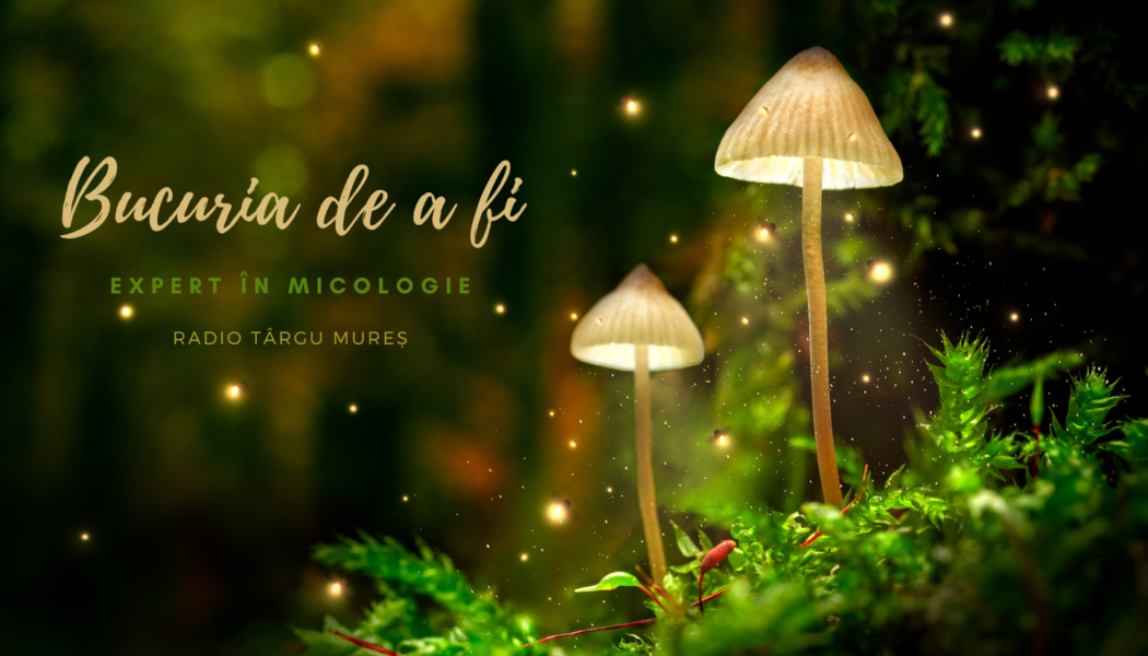 Bucuria de a fi | Micolog Fődi Attila