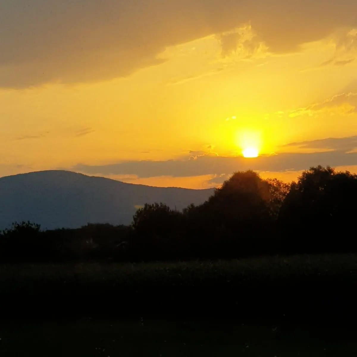 Vremea va deveni caldă în următoarele două săptămâni, dar vor fi și perioade cu ploi, potrivit prognozei Administrației Naționale de Meteorologie Vremea va deveni caldă în următoarele două săptămâni, dar vor fi și perioade cu ploi, potrivit prognozei Administrației Naționale de Meteorologie