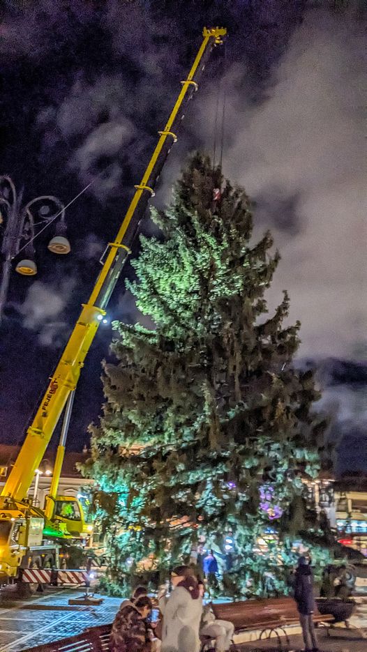 Un brad de 20 m va fi amplasat în Piaţa Sfatului