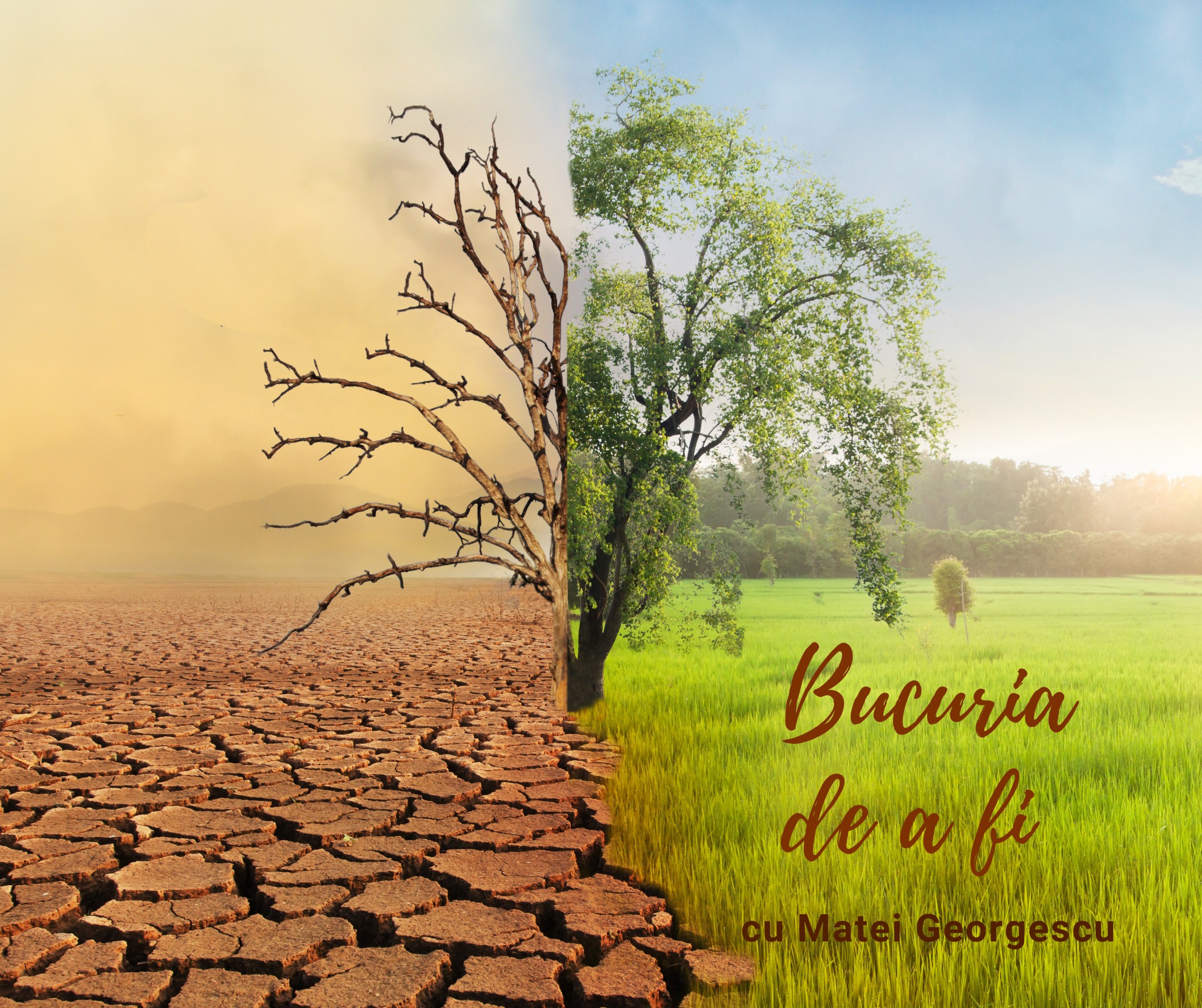 Bucuria de a fi | Calea împăcării