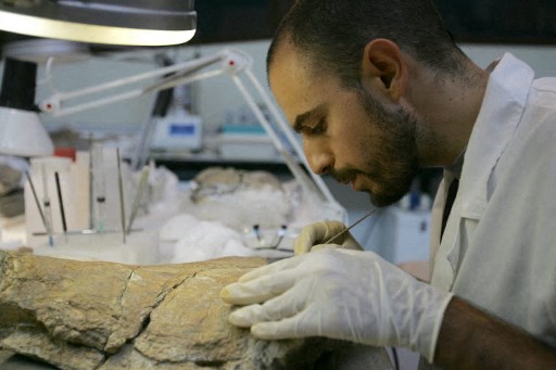 Descoperirea unor urme de pași în Brazilia dezvăluie o nouă specie de dinozaur Descoperirea unor urme de pași în Brazilia dezvăluie o nouă specie de dinozaur
