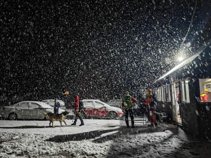 Ninge abundent în zonele montane din centrul țării
