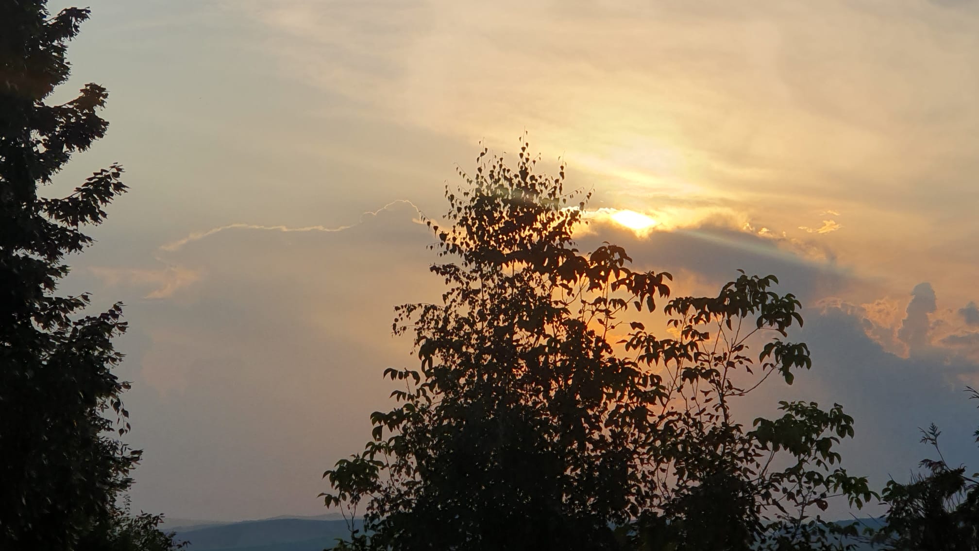 Luna noiembrie a început cu vreme neobișnuit de caldă