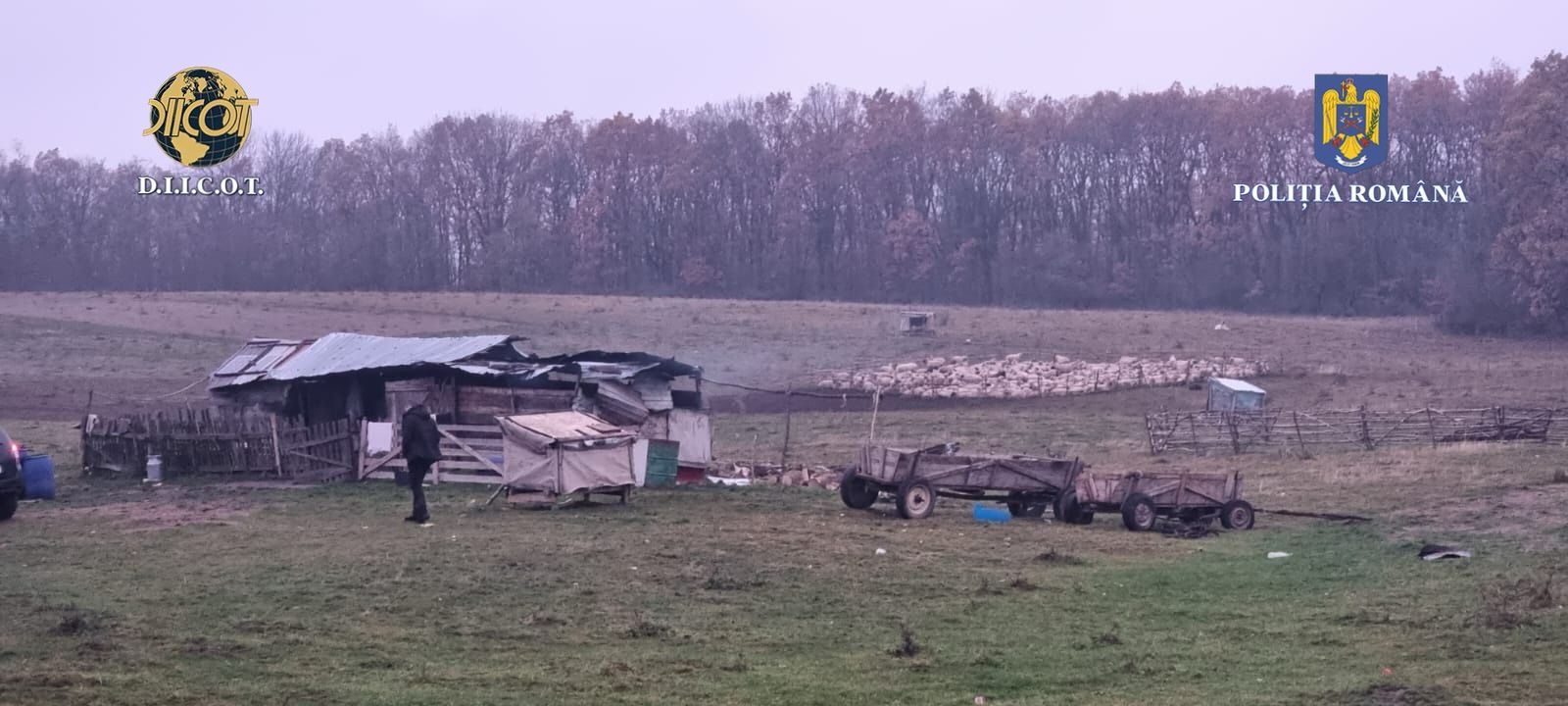 Percheziții în cadrul unui dosar penal de trafic de minori