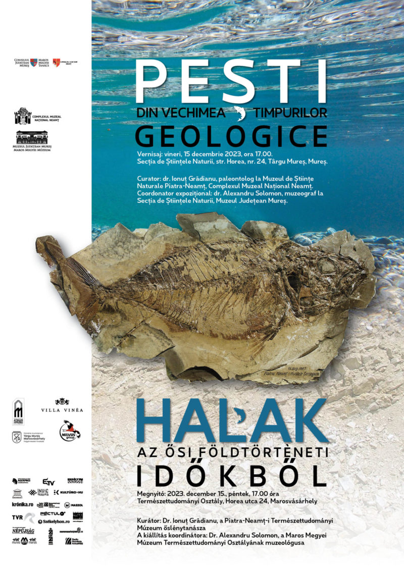 Expoziție de paleontologie la Târgu Mureș