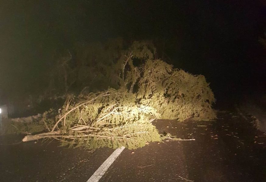 Zeci de copaci căzuți în Harghita, pe DN 13 B. Traficul a fost oprit
