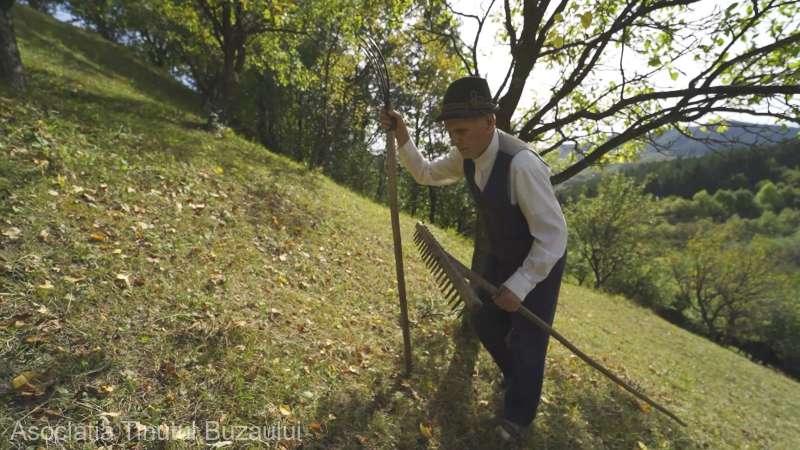 În comuna Mânzăleşti din Ţinutul Buzăului – unde se află muntele de sare – oamenii tind să atingă vârste de peste 90-100 de ani