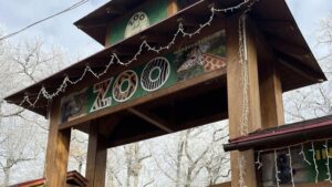 Magia de Halloween la Grădina Zoologică Târgu Mureș